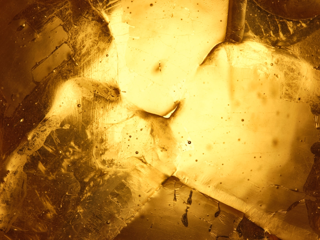 http://www.aurelienveyrat.com/files/gimgs/th-50_Aurélien Veyrat_2500px150dpi_c_studio_b_helle 23.jpg
